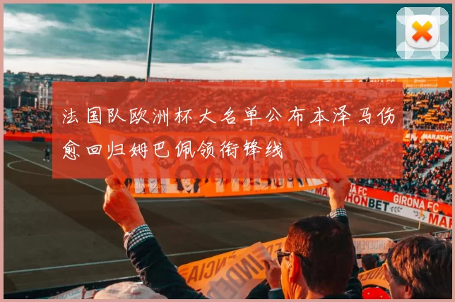 法国队欧洲杯大名单公布本泽马伤愈回归姆巴佩领衔锋线