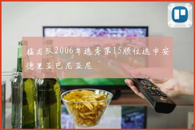 猛龙队2006年选秀第15顺位选中安德里亚巴尼亚尼