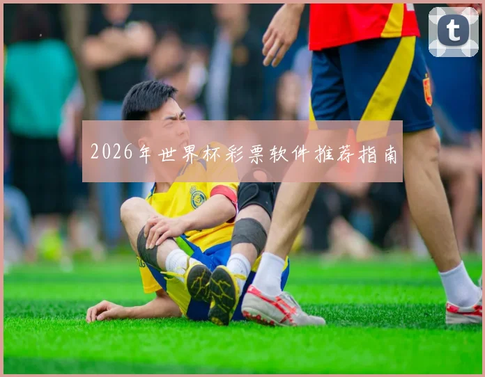 2026年世界杯彩票软件推荐指南