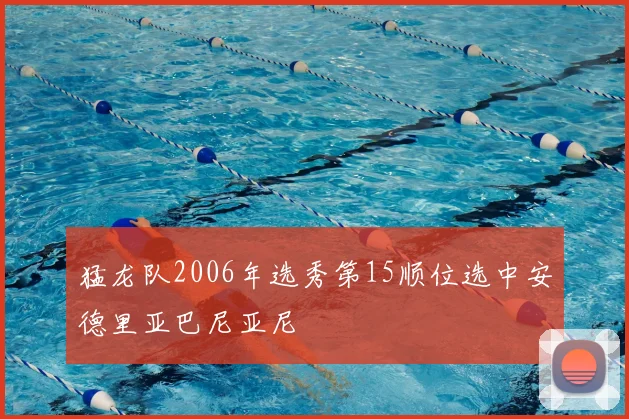 猛龙队2006年选秀第15顺位选中安德里亚巴尼亚尼