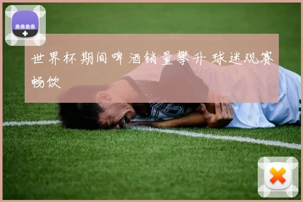 世界杯期间啤酒销量攀升 球迷观赛畅饮