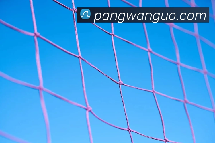 数据防护可视化